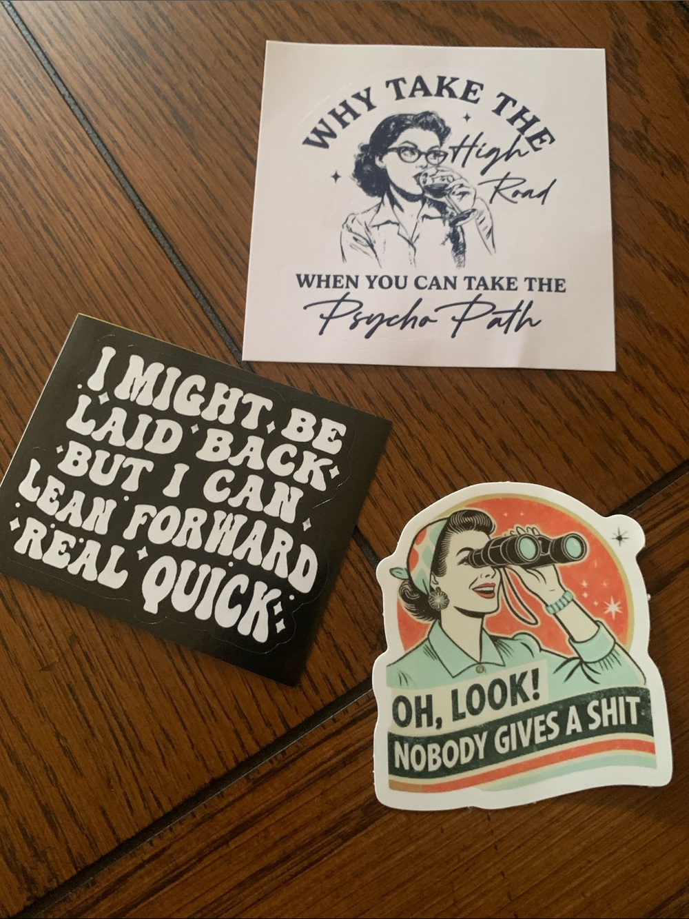 Set of 3 Snarky Humorous Vinyl Stickers